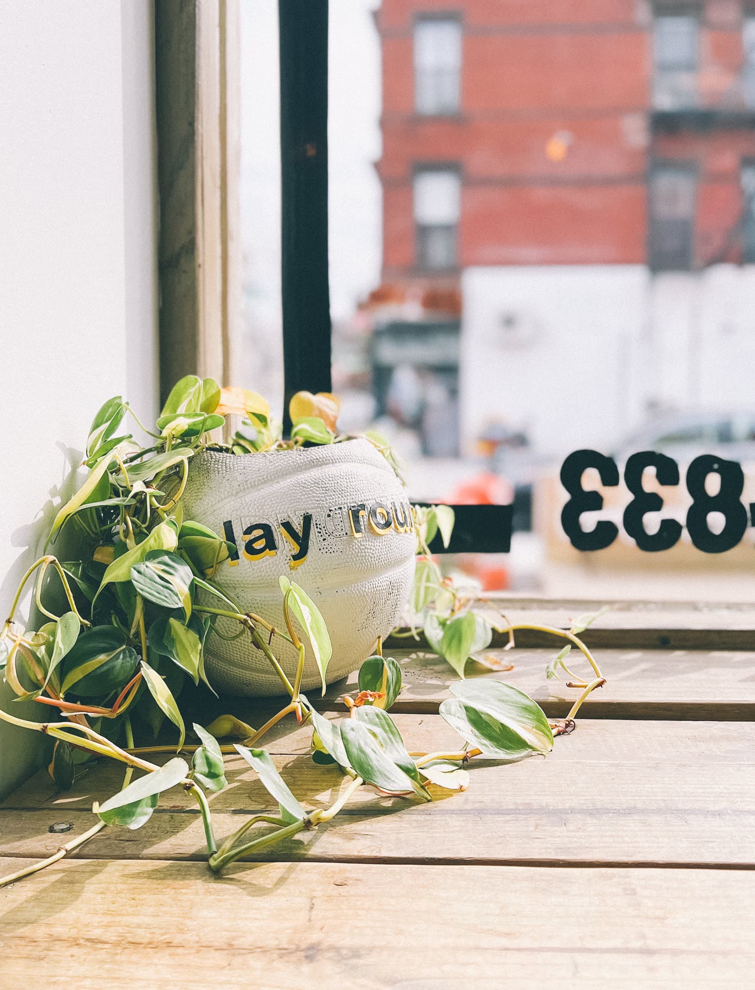 playground-coffee-shop-05
