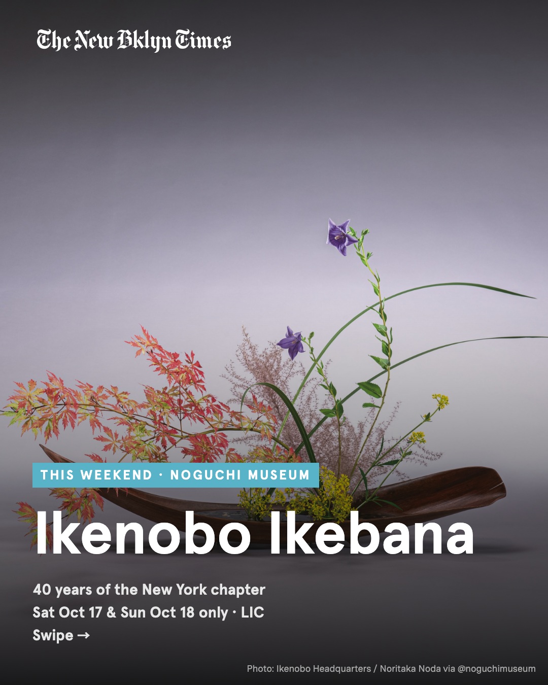 Two days only at The Noguchi Museum: the New York chapter of Ikenobo, the oldest school of ikebana, marks its 40th anniv