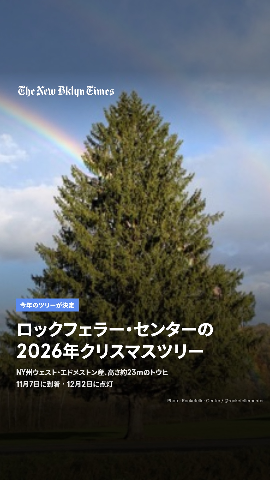 ロックフェラー・センターが今年のクリスマスツリーを発表しました。NY州チェナンゴ郡ウェスト・エドメストン産のノルウェースプルース(ドイツトウヒ)で、高さ約23m(76フィート)、幅約15m、樹齢およそ75年。11月5日に伐採され、11月7日