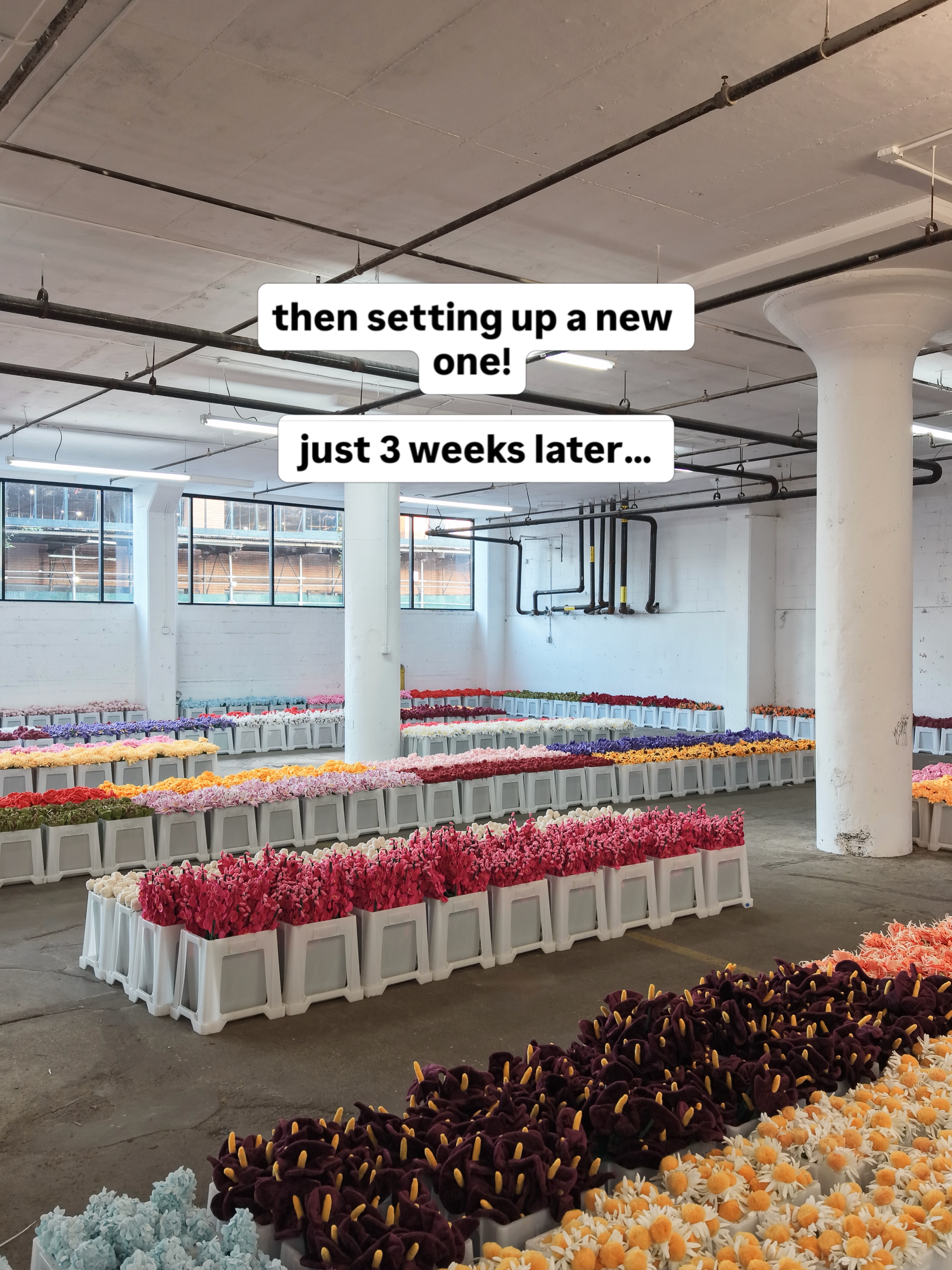 CJ Hendry Flower Market、10月17〜19日にブルックリンで開催 入場と最初の1本は無料