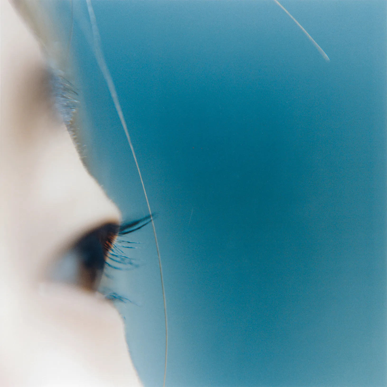 Close-up of an eye against a blue field, from Rinko Kawauchi's series the eyes, the ears