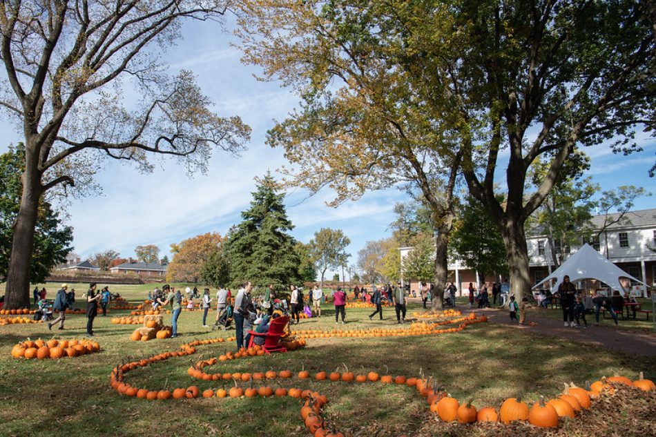 Pumpkin Point returns to Governors Island, NYC, Oct. 24–25